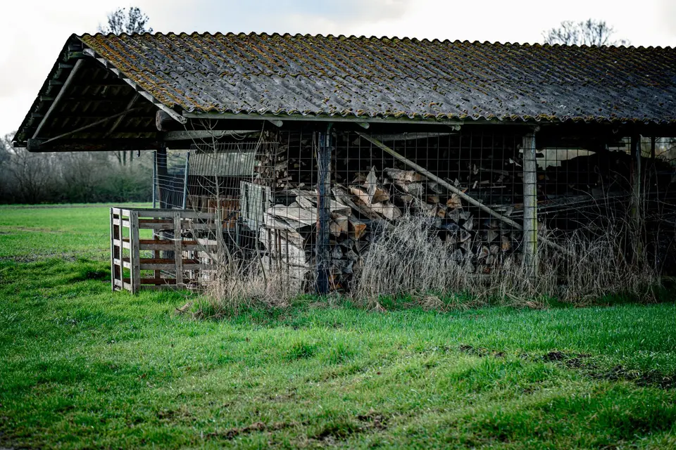Abri agricole couvert de plaques ondulées grises tachées de mousse